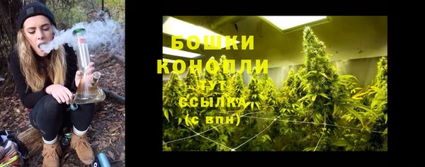ALPHA PVP Аркадак