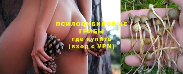 ALPHA PVP Аркадак